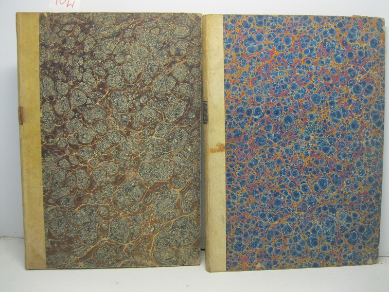 LA VITA NUOVA.  Giornale settimanale di educazione popolare. Anno II (1869).  Anno III (1870). Siena 1869 - 1870.